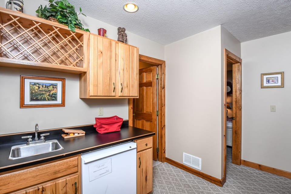 Lower Level Family Room