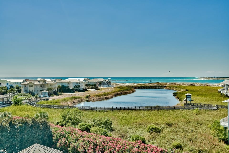 View from the Balcony