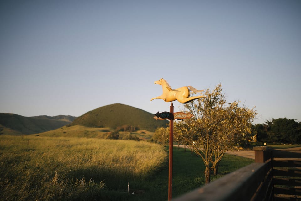 Flying Caballos Ranch
