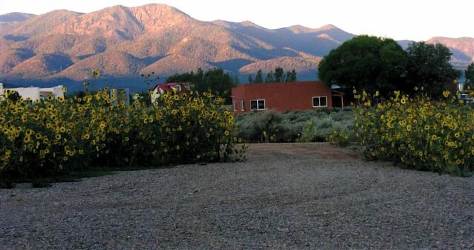 Autumn sunflowers and sun kissed mountain tops
