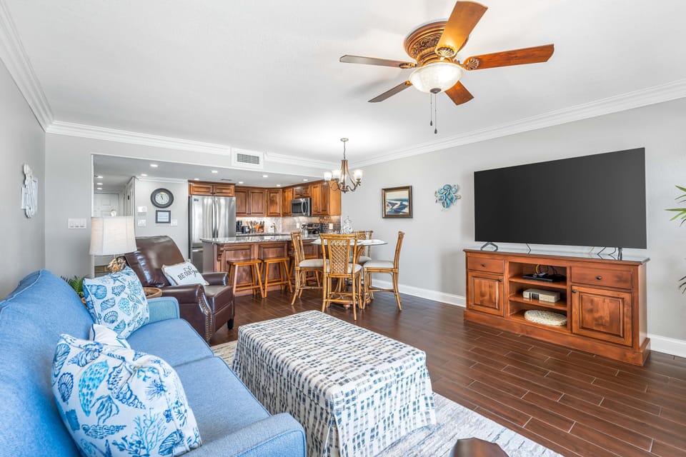 HSRC 506 Living Area TV