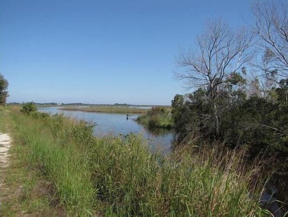 Primehook Refuge