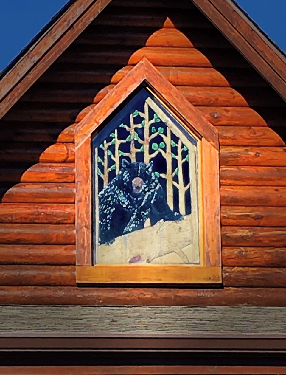Bear in the window
