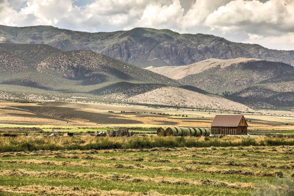 Landscape Views