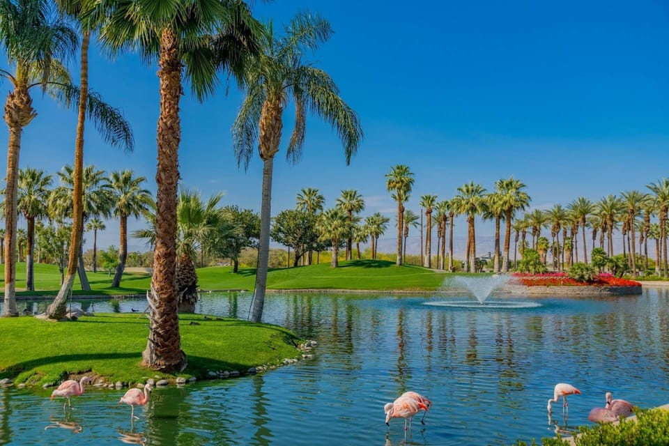 We have Flamingos in the Desert!