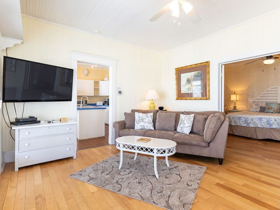 Living area with Sleeper Sofa and Flat Screen TV - Sea View 1