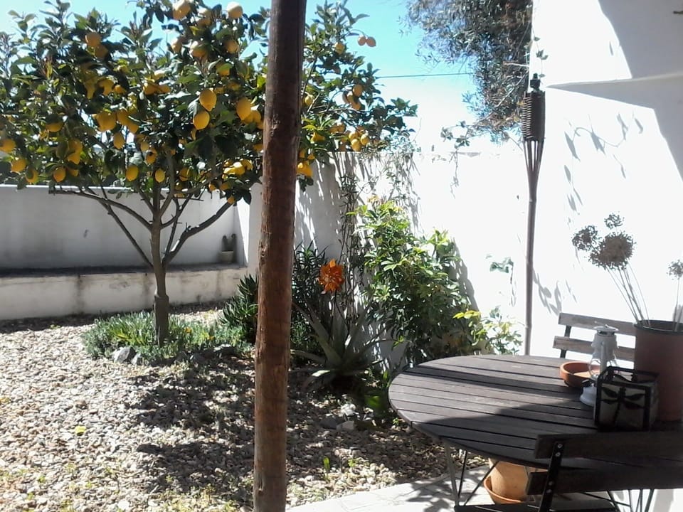 Porch and lemon tree