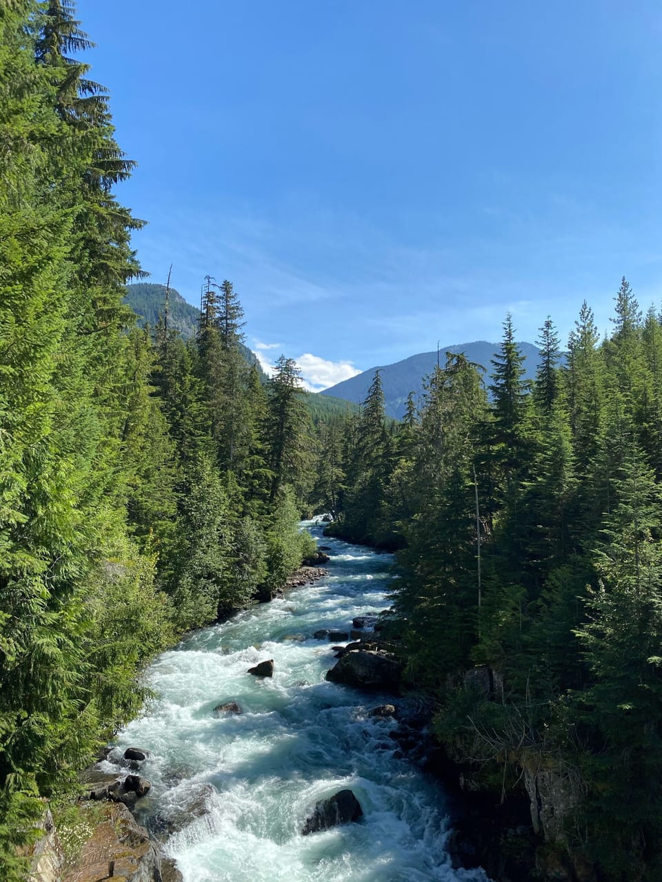 Explore the nearby valley (shown: Cheakamus River)