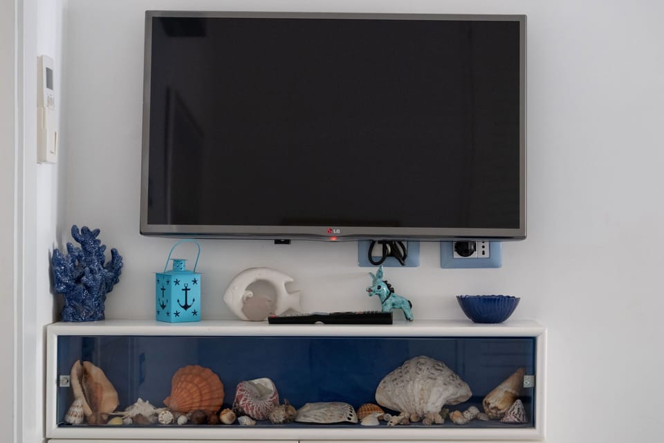 Television