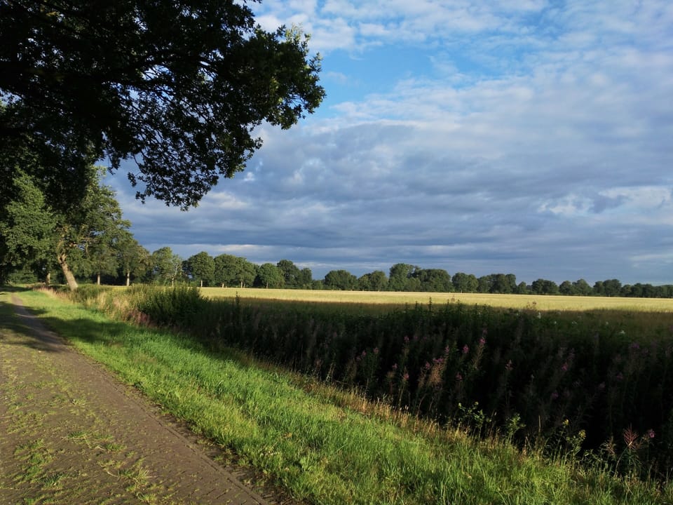 Many lovely walks are possible from the apartment.