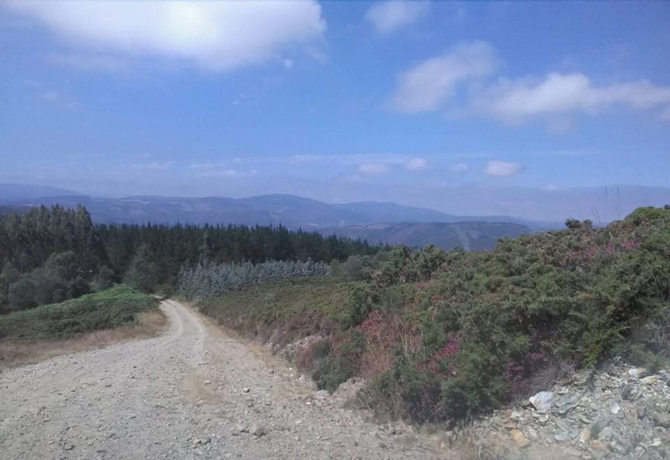 The Road to Home