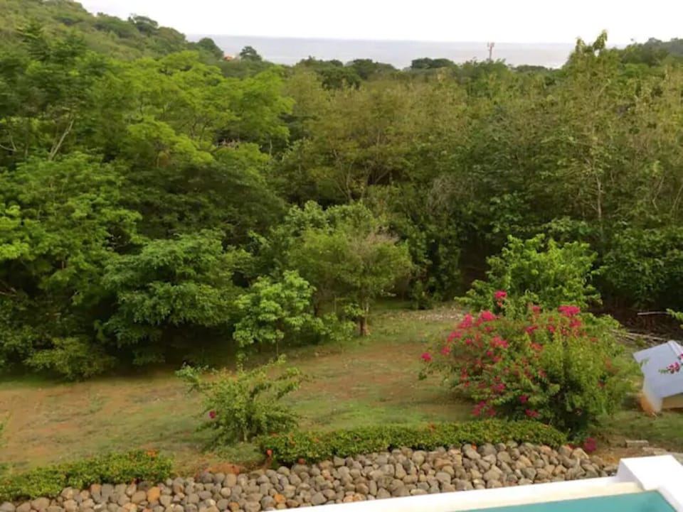 You will be surrounded by lush vegetation with great ocean views!