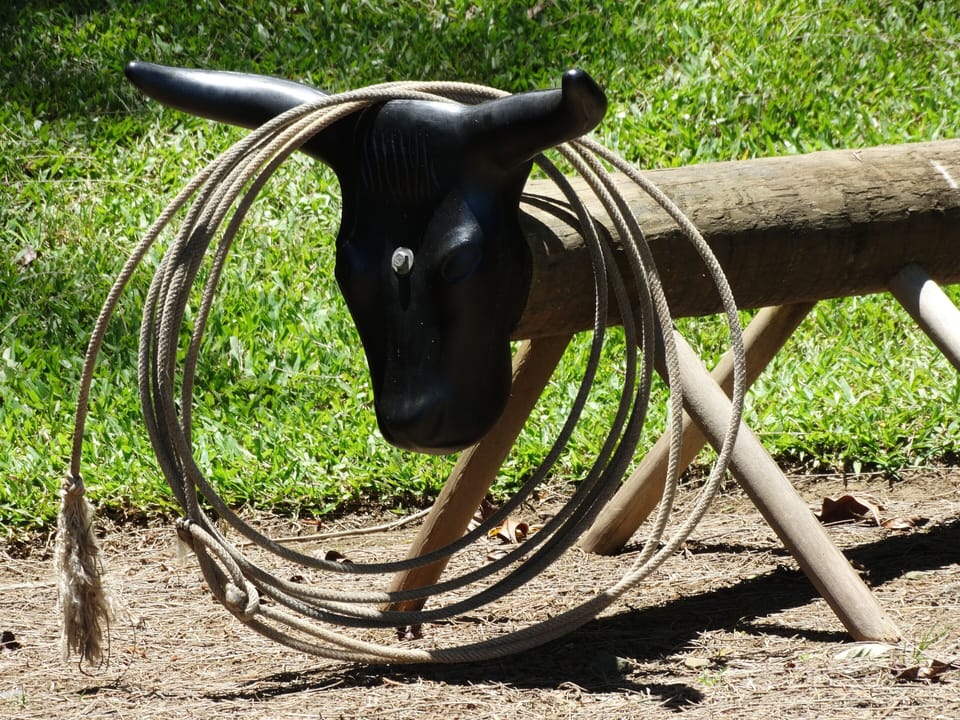 Try roping... 