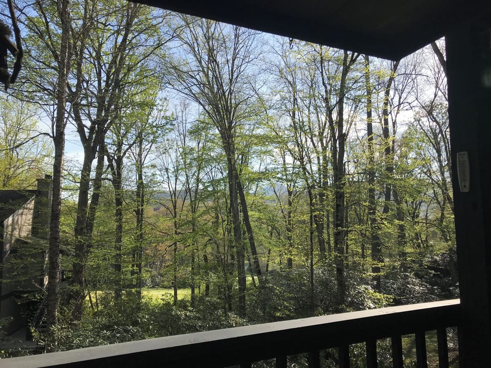 View from the patio
