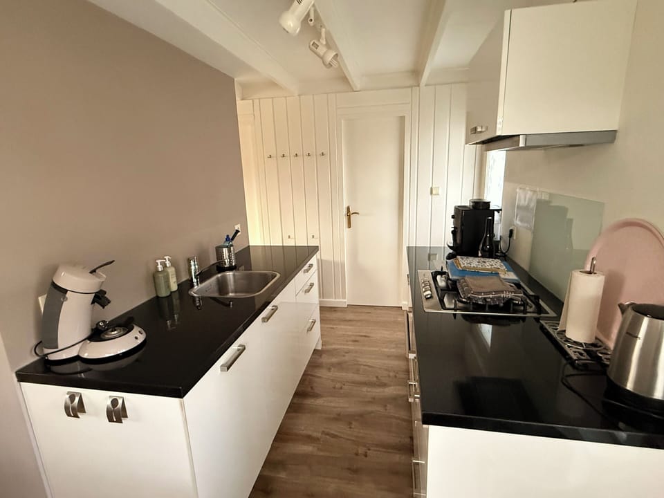 Kitchen with magnetron, oven, dishwasher, fridge.