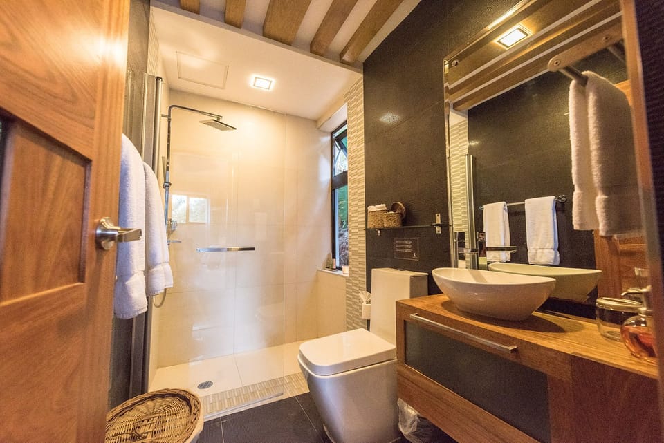 Master Bathroom - Salle de bain