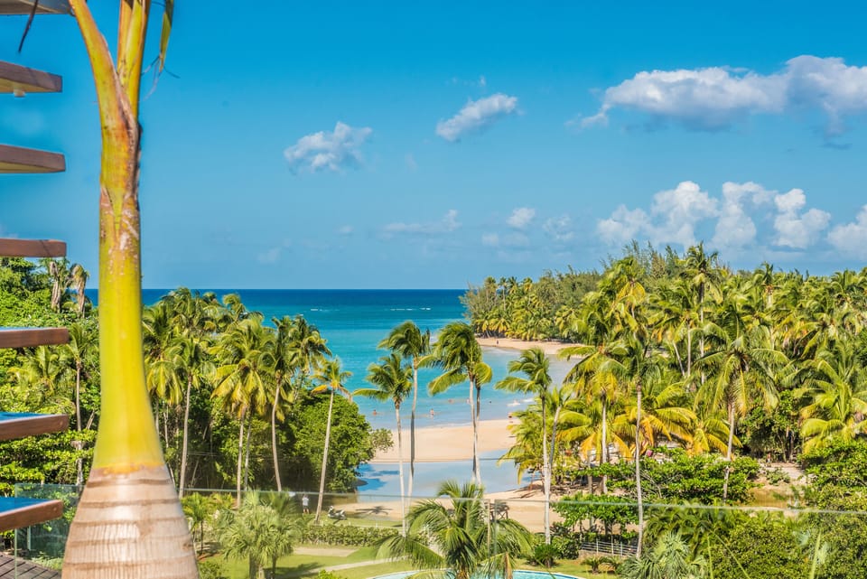 Beautiful beach view from the penthouse