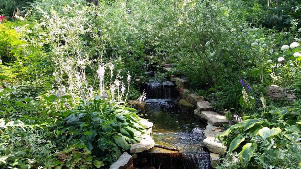 outside stream(in season)