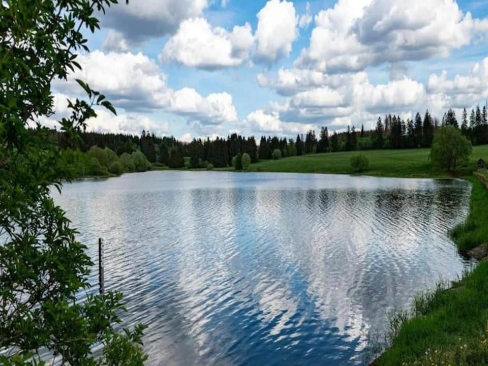 Region [summer] (>5 km)