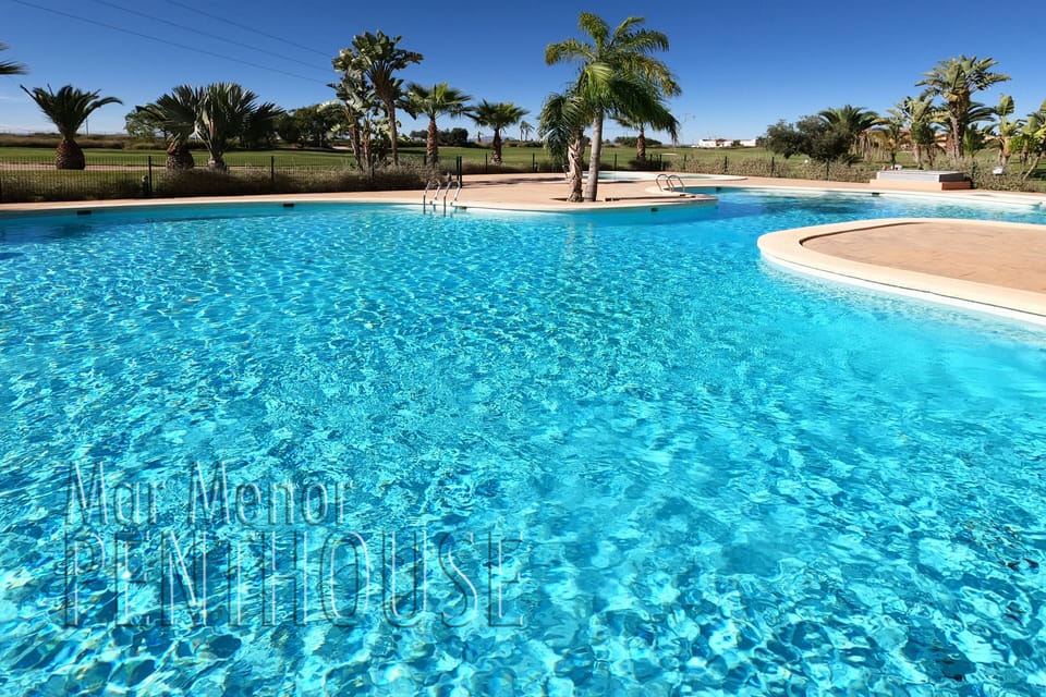 14 communal pools to choose from!