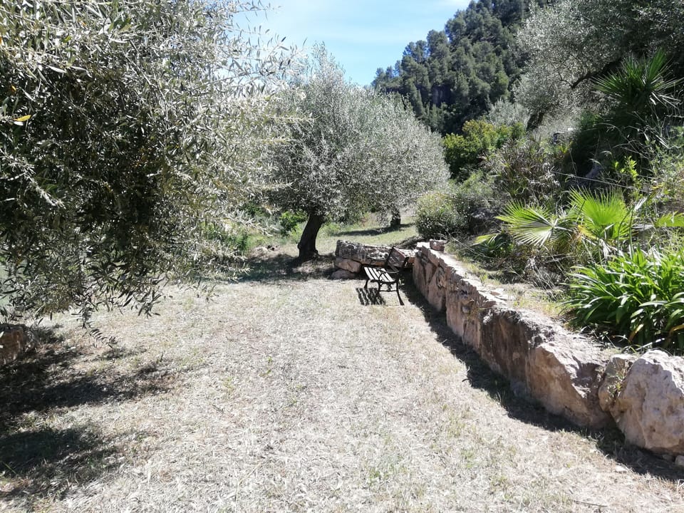 El-Figueral's Garden
