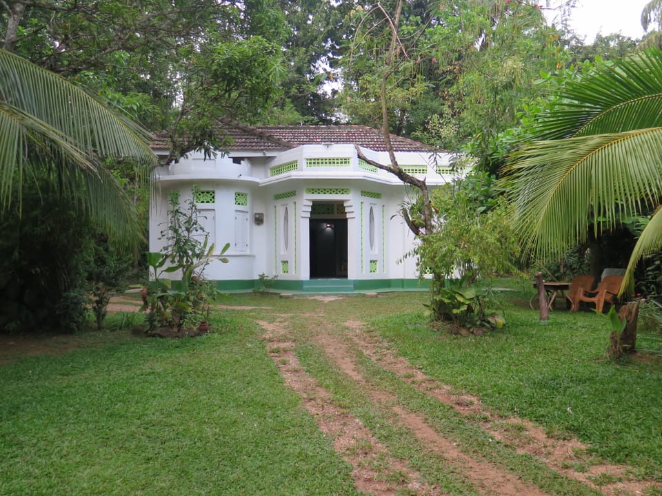 Front view  