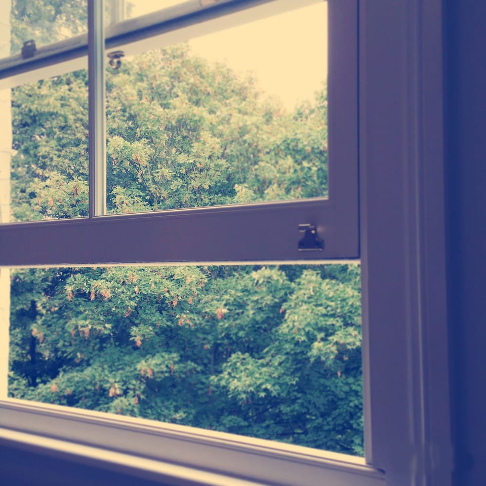 Double glazed sash window with garden view