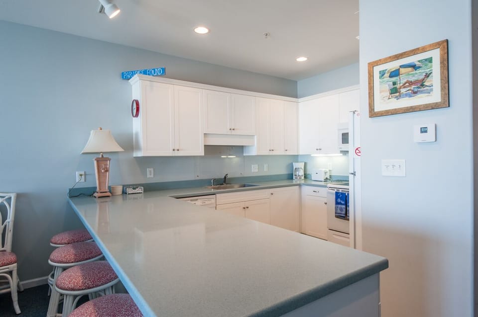 Plenty of counter space in kitchen