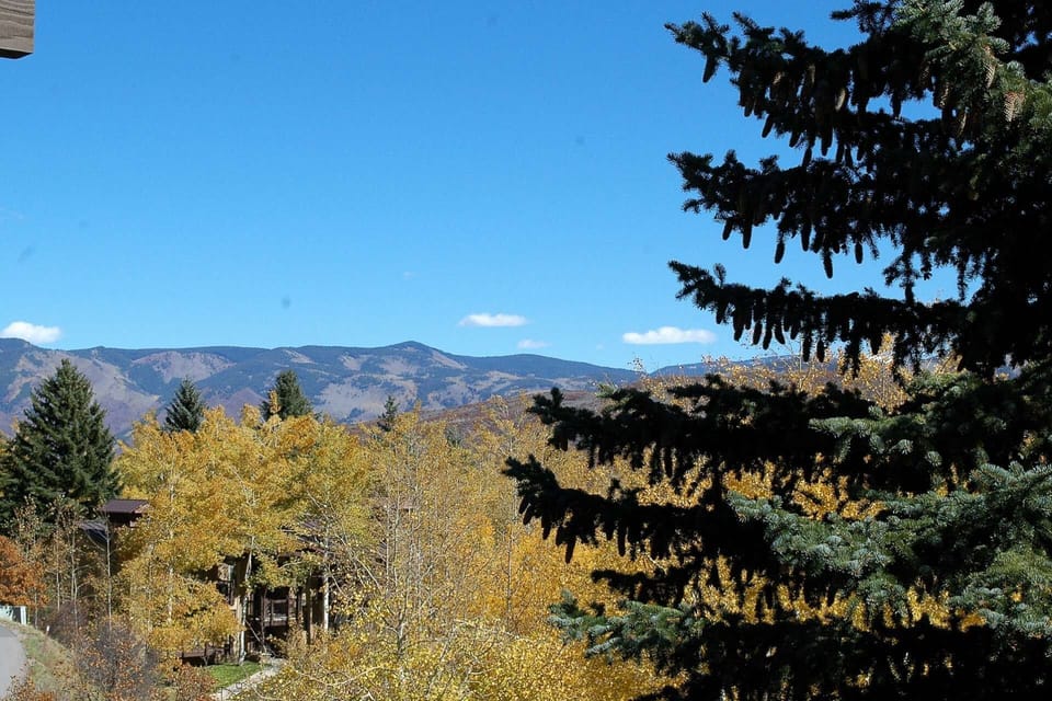 The golden Aspen leaves call you out to the patio for some leaf peeping.