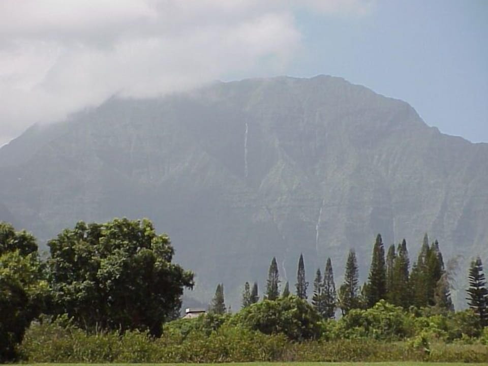 Golf Course View - Golf Course View
