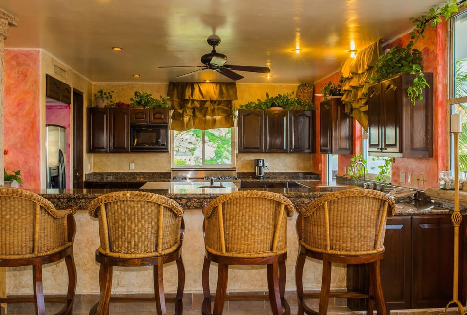 Gourmet kitchen