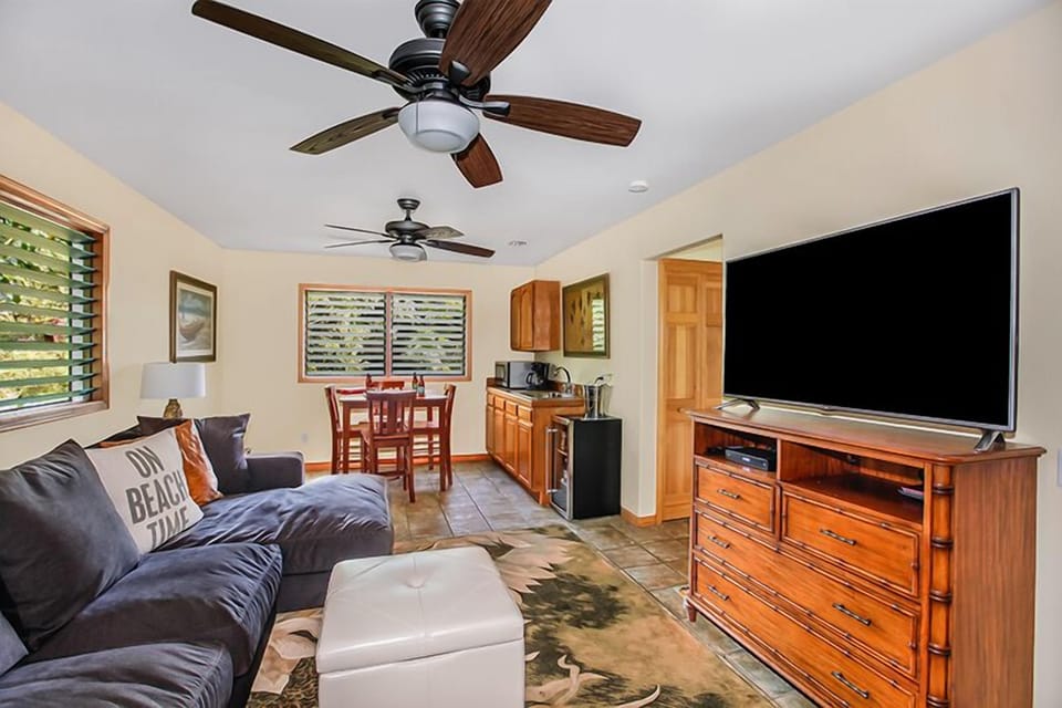 Kahele Kai family room - The entry level is where the cozy family room is located, it has a comfy couch, perfect to watch the large TV, and is beyond expectations. There is also a mini kitchen, a bath, and the 3rd bedroom.