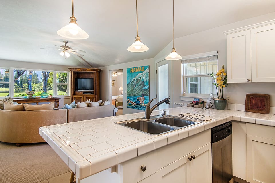 Kitchen / Living Area - Kitchen / Living Area