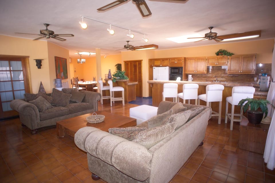 Living room and kitchen