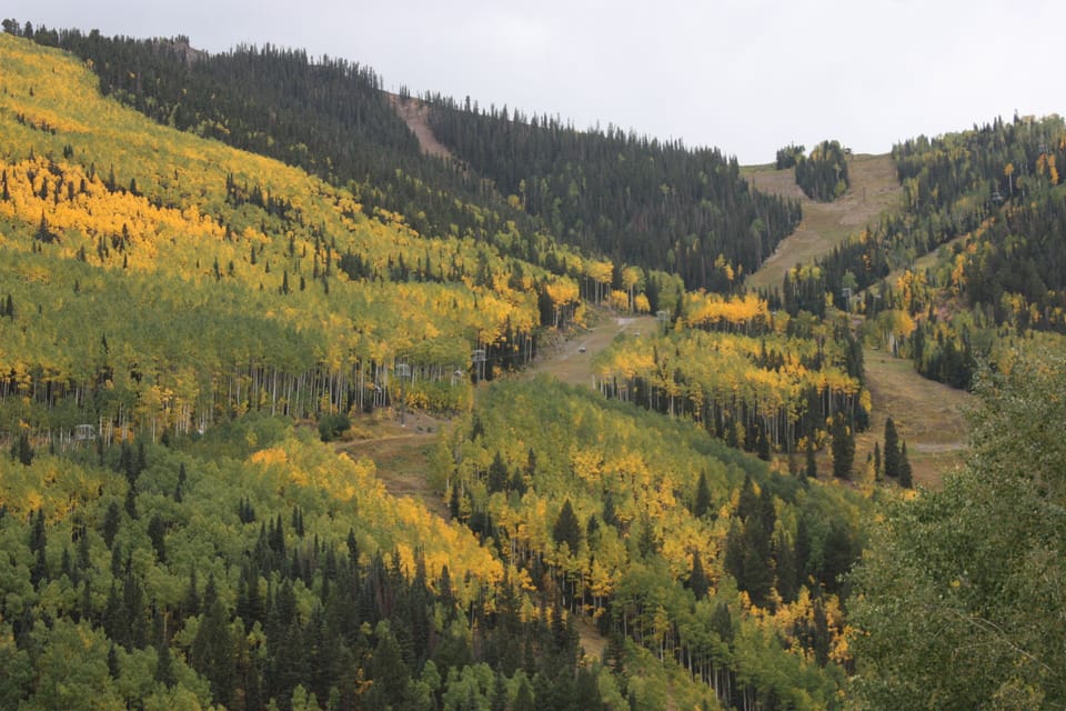 South view of the ski mountain from Racers Roost