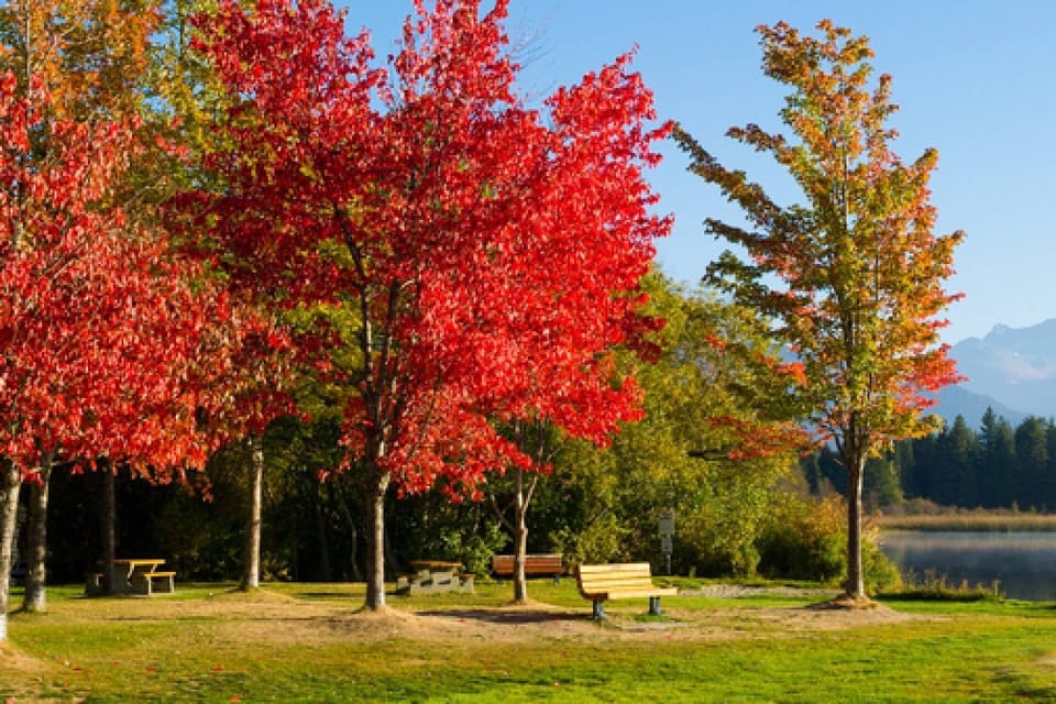 Fall in Whistler is a beautiful as Winter