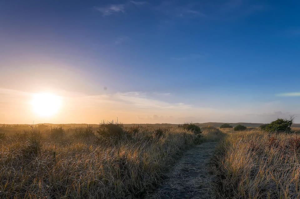 Beachwood Estate - VR 365 - Pathway to the beach. Only a 2 minute walk.
