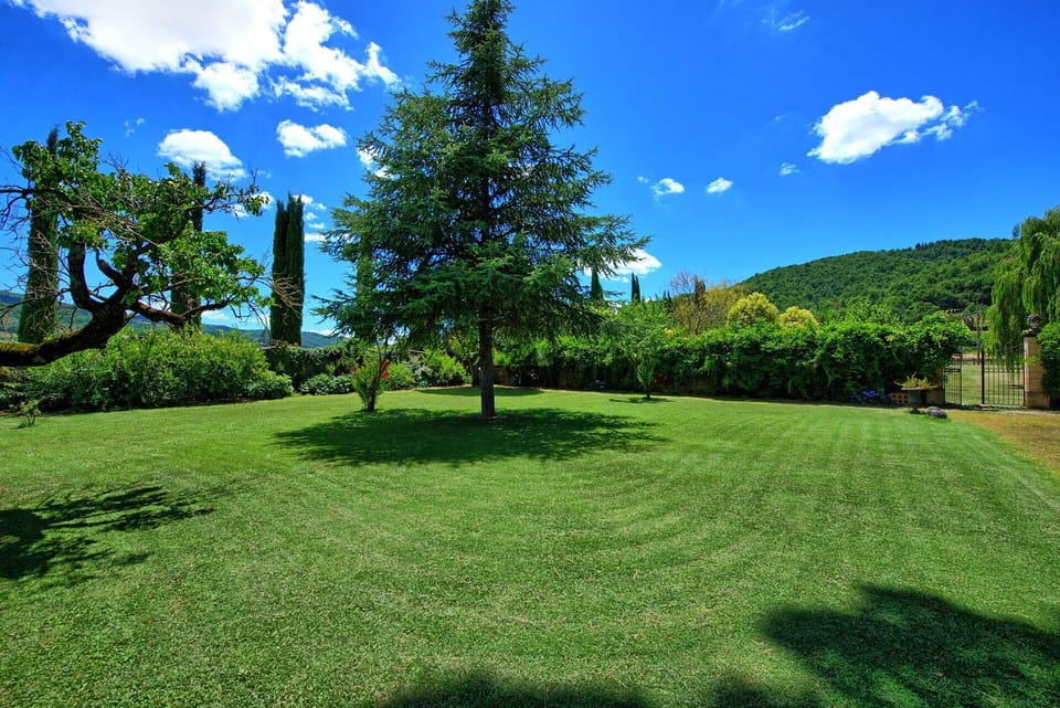 Garden, Outdoor