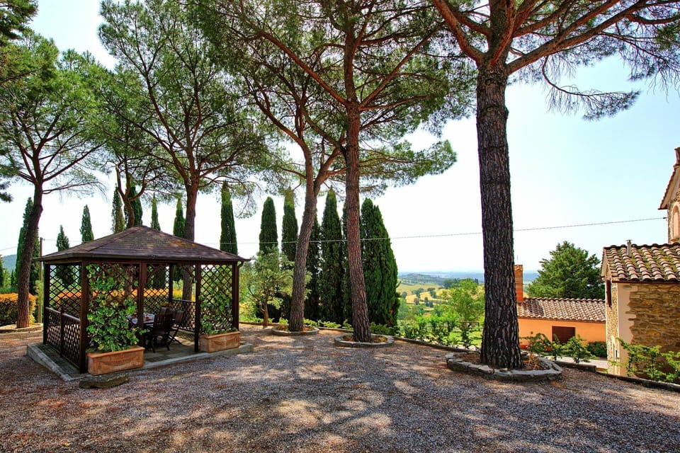 Balcony / Terrace / Patio, Garden, Outdoor, Scenic View
