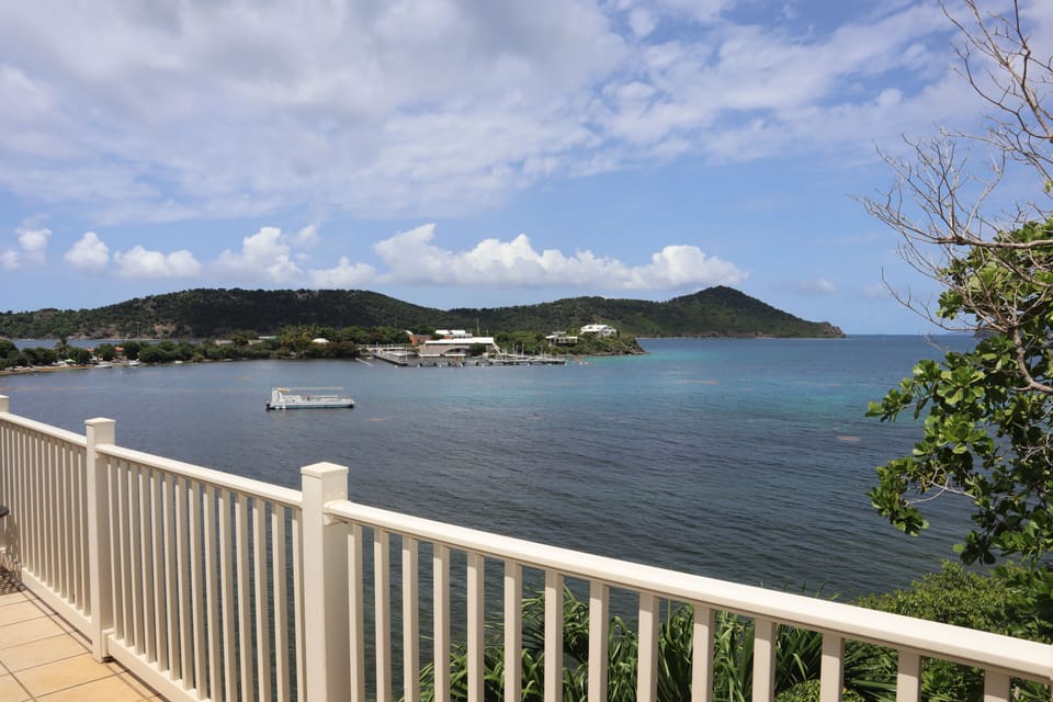 Patio view