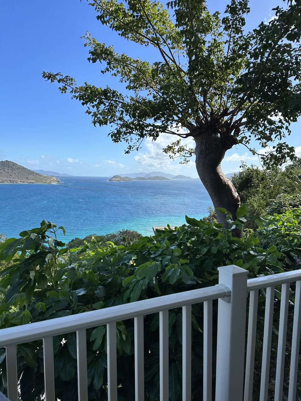 Patio view