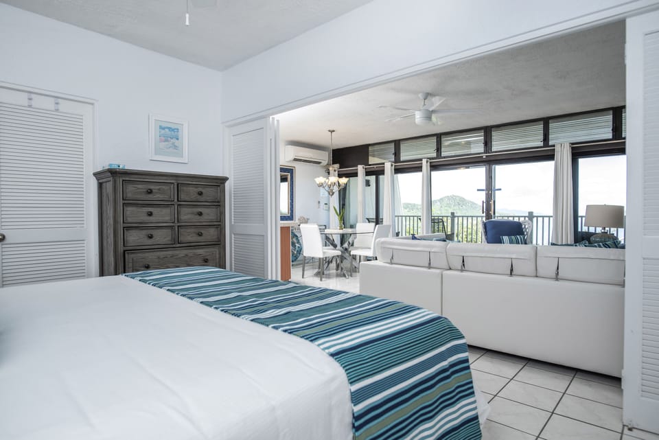 King sized bedroom that is open to living area