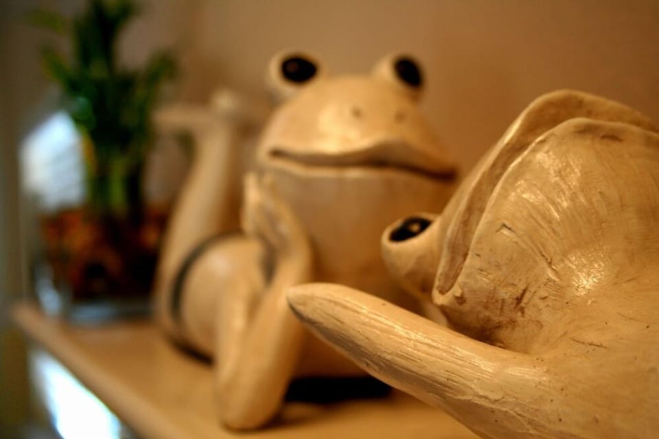 It's called the Lily Pad for a reason...lol...ribbit!