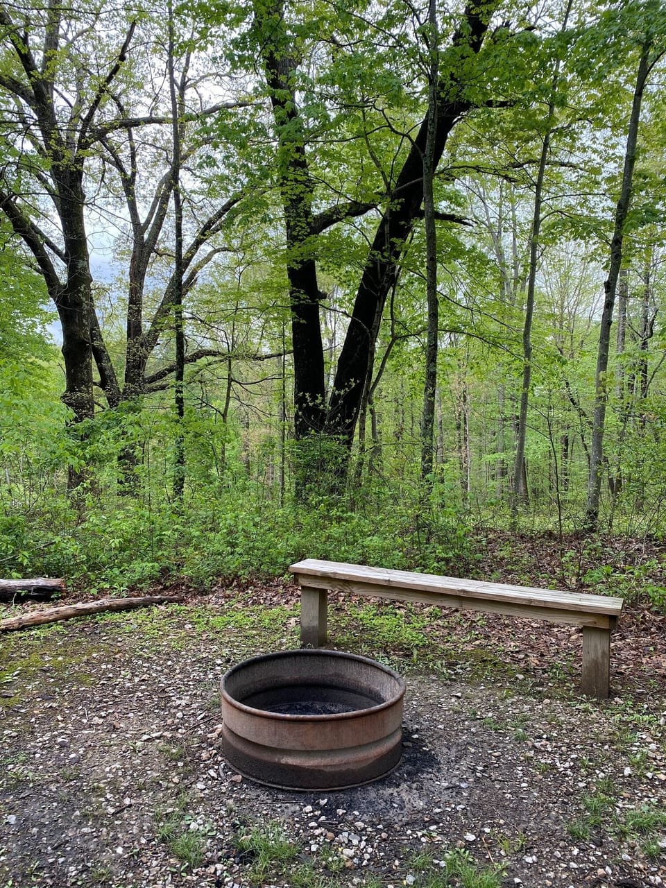 Elk Fire Pit