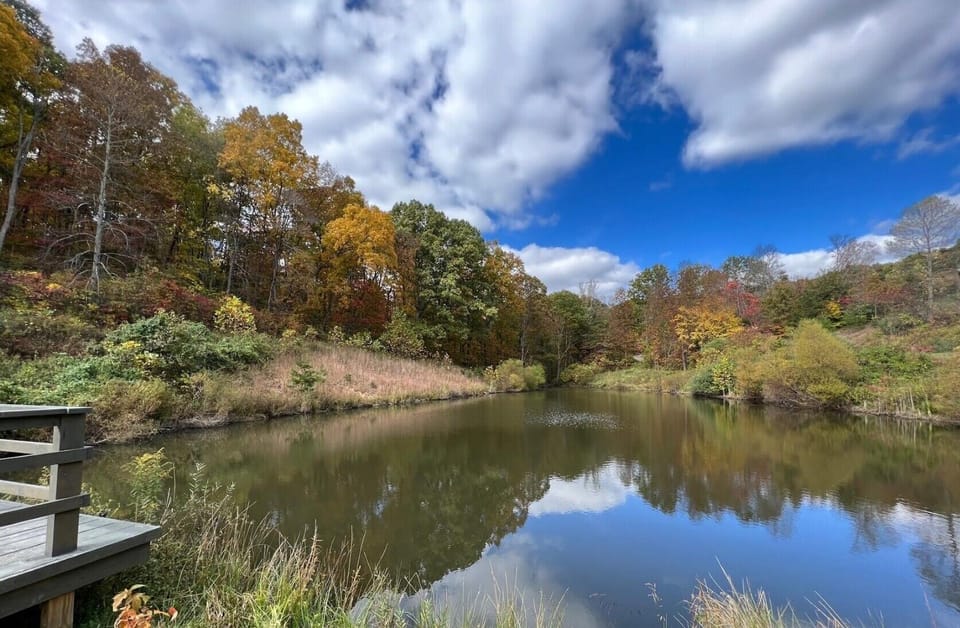Big Sky Ranch Stocked Pond