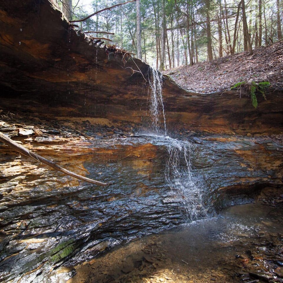 falls-2025-13