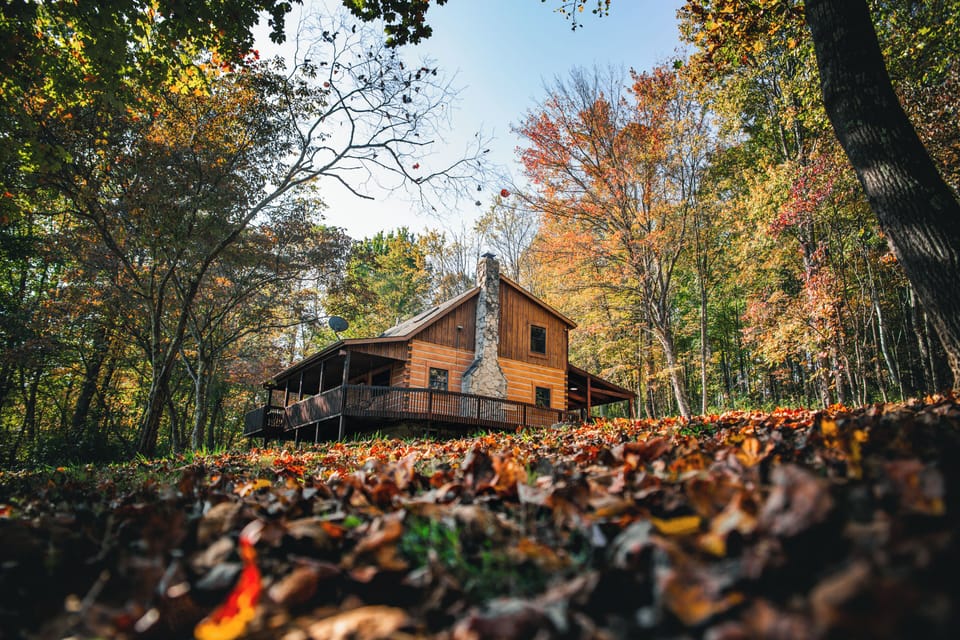 Dogwood Fall Photo