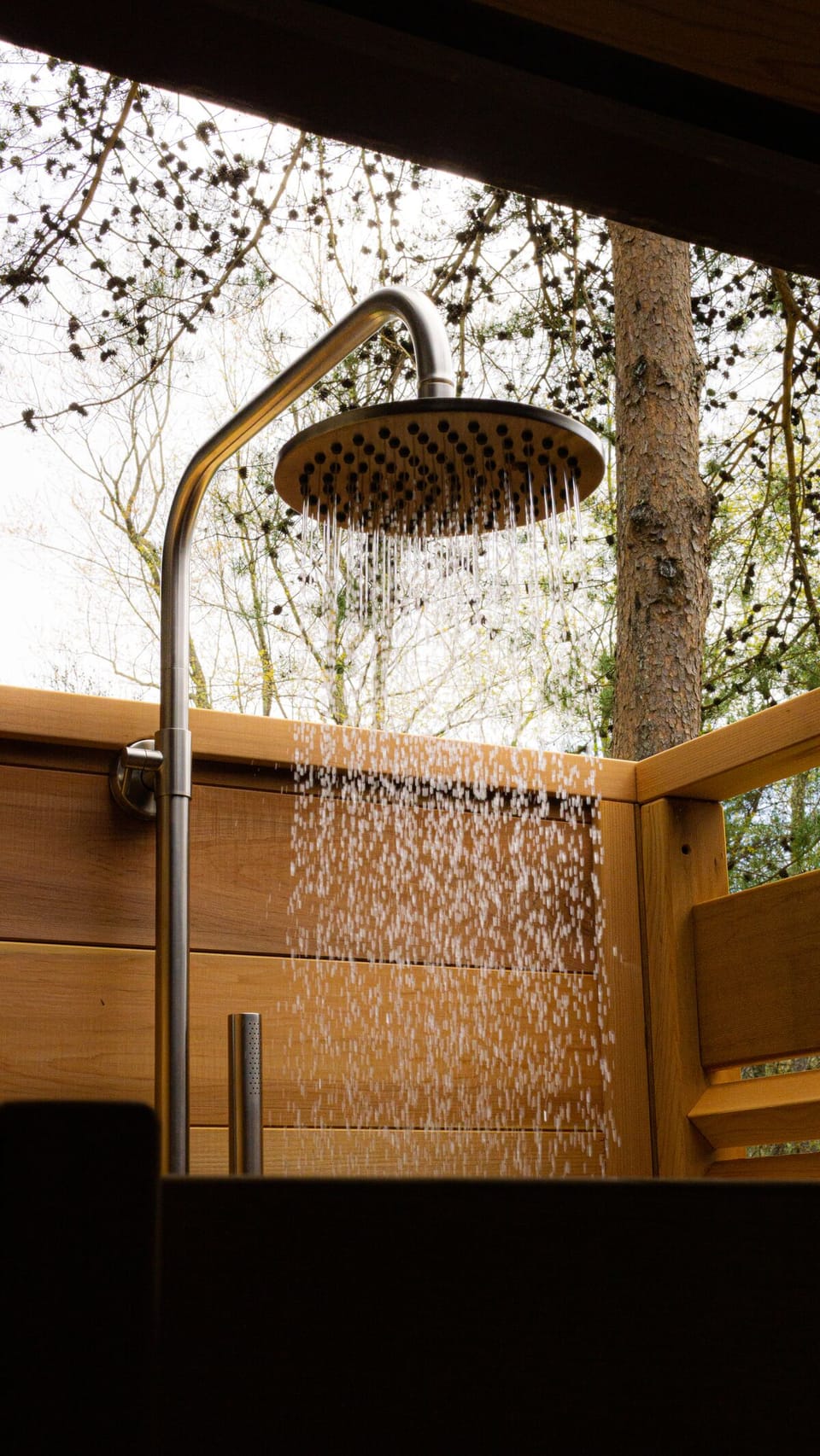 Pine Cone Outside Shower