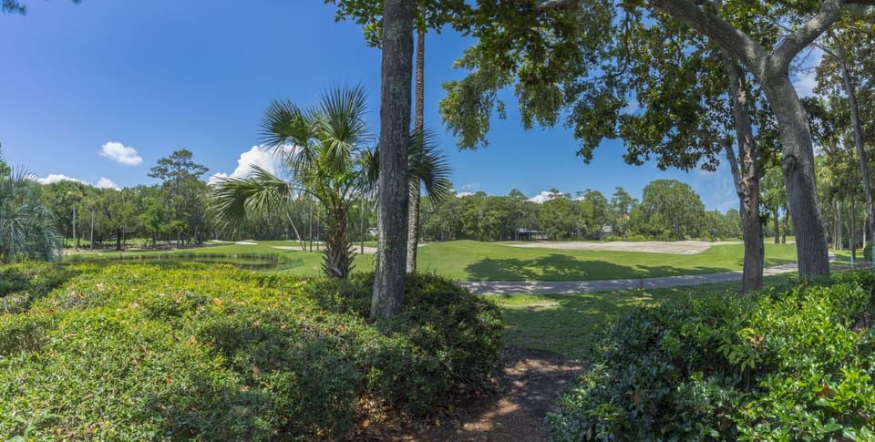 Cougar Point Golf Course View