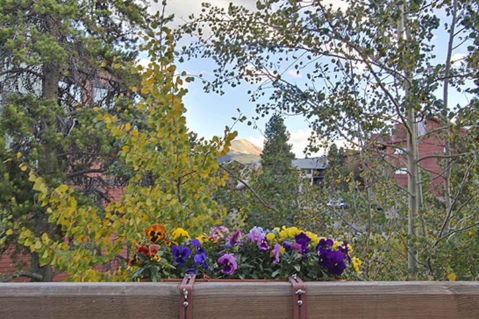 View off the deck near kitchen